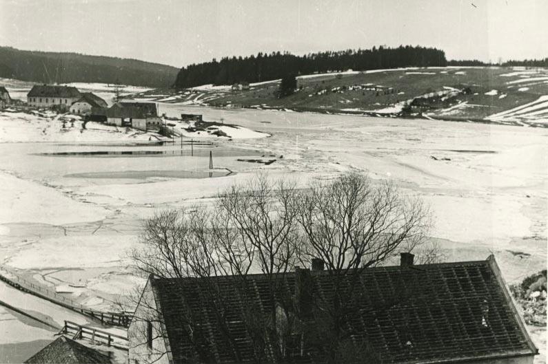 Friedau-1958.jpg